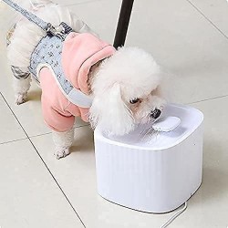 Water fountain for animals