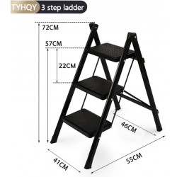 Folding ladder